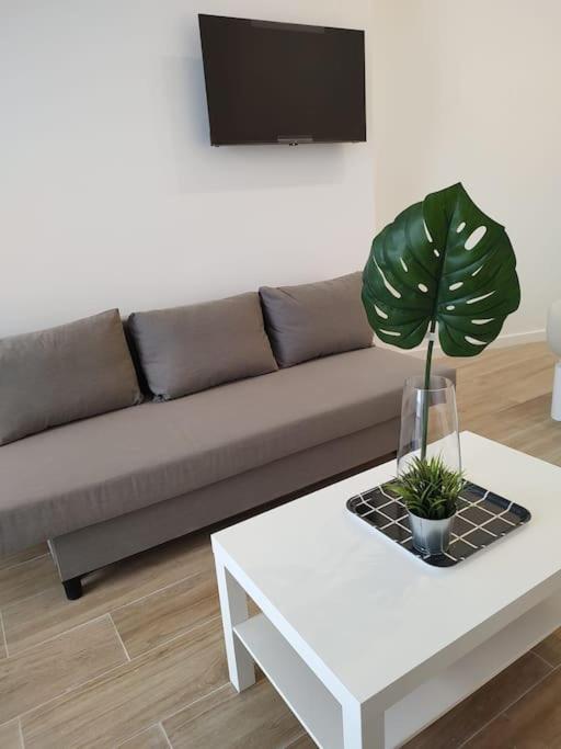 Nuevo Loft En Playa Y Cerca Del Centro, Ac Y Wifi Apartment บาเลนเซีย ภายนอก รูปภาพ